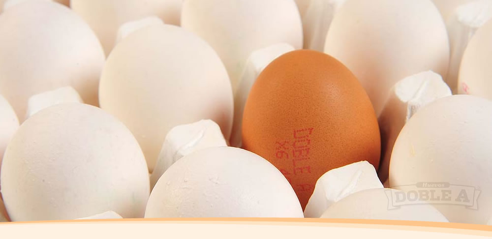 Huevos Doble A 00