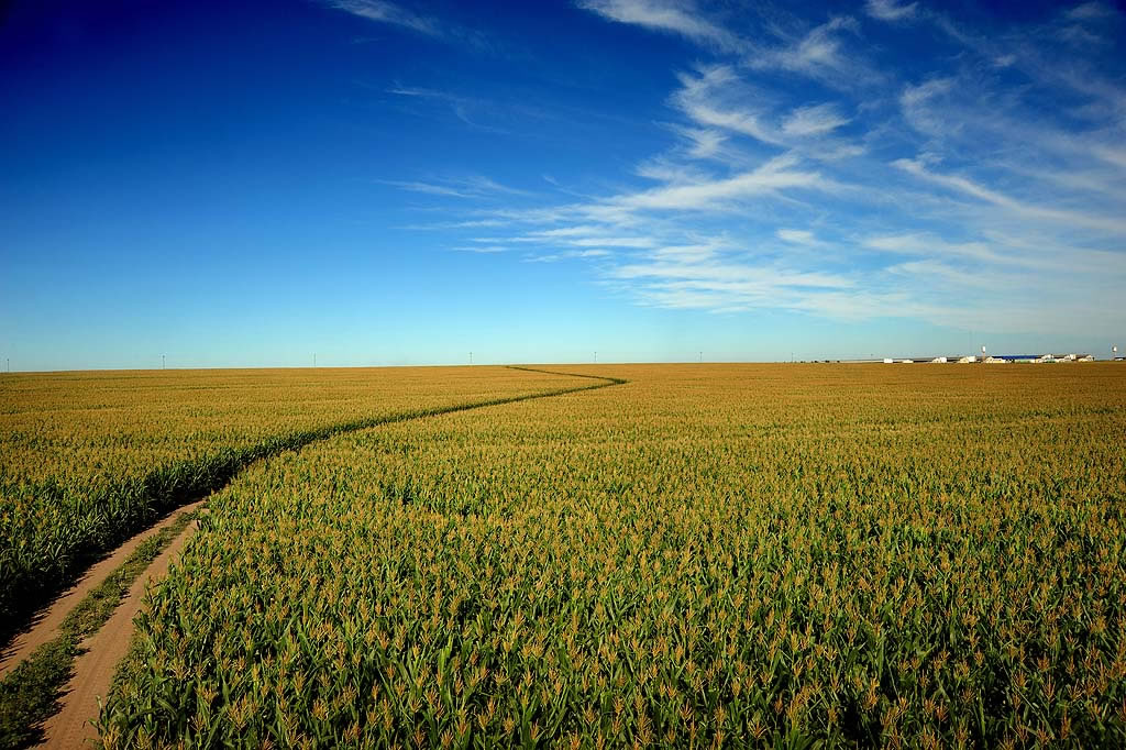 full screen background image